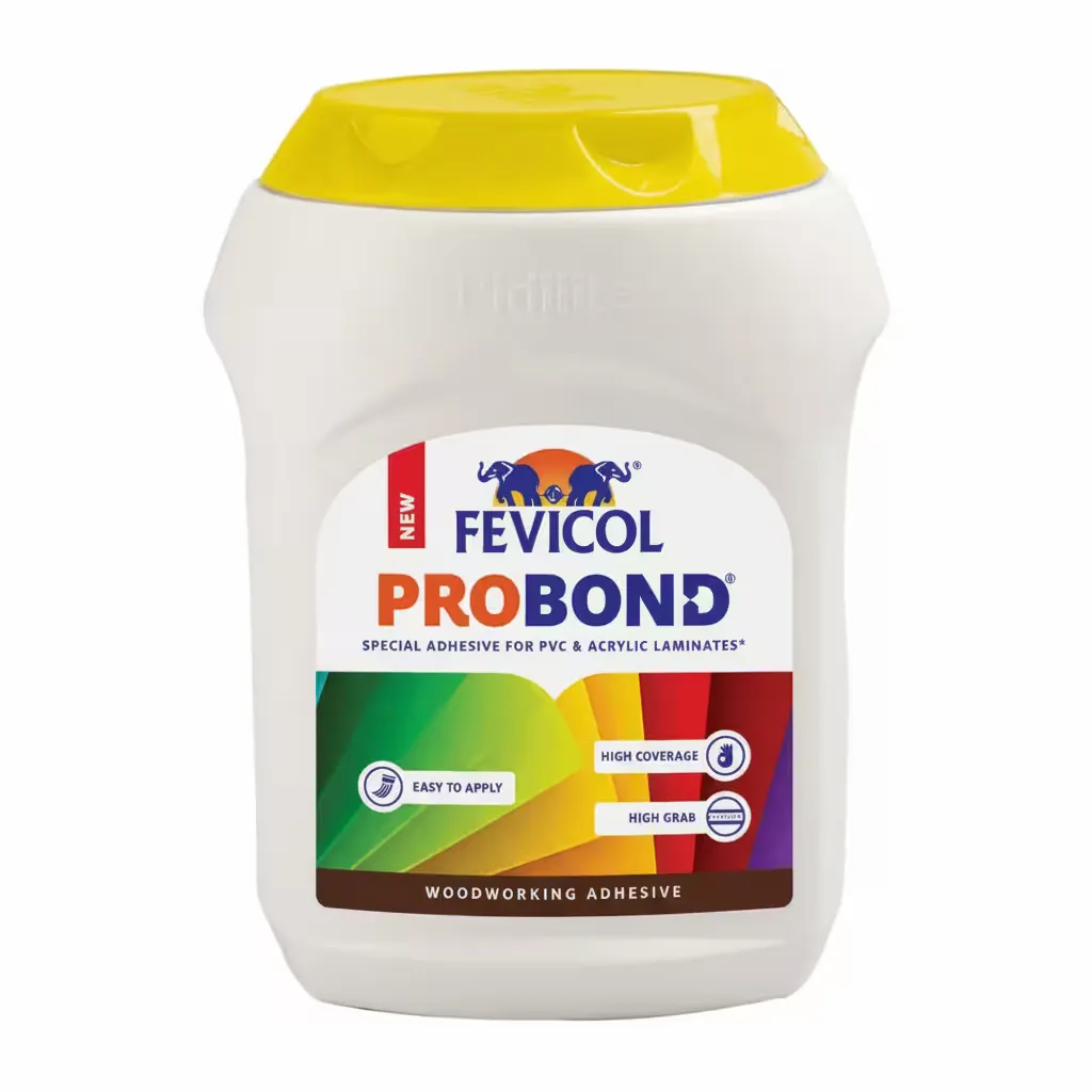FEVICOL PRO BOND 1 KG